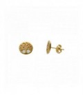 Pendientes de Nacar y Oro 1ª ley con ciere de presion - M-621012